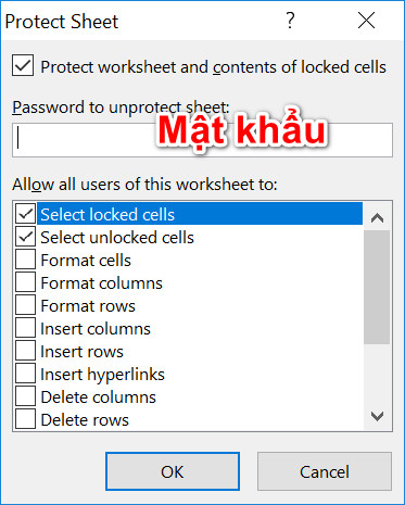 nhập mật khẩu bào vệ bảng tính excel