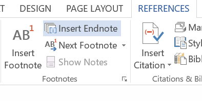 endnote in word