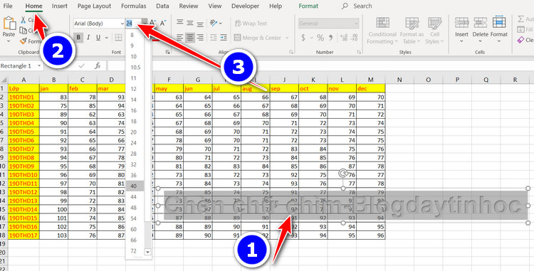 tùy chỉnh kích thước chữ