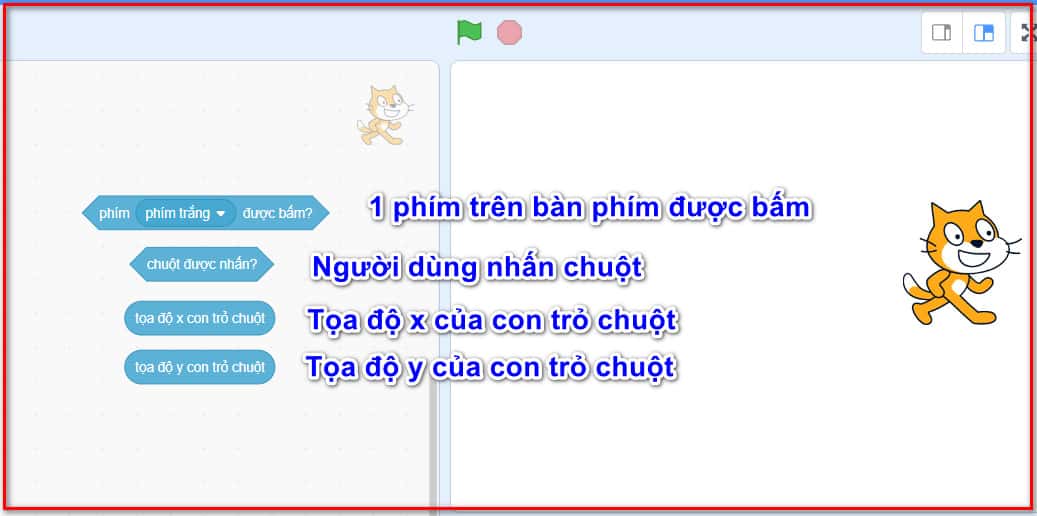 cảm biến chuột và bàn phím