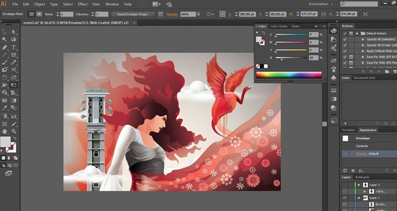 thiết kế illustrator