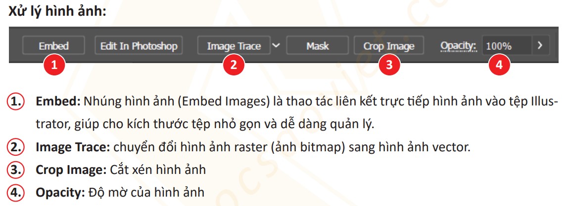 Xử lý hình ảnh