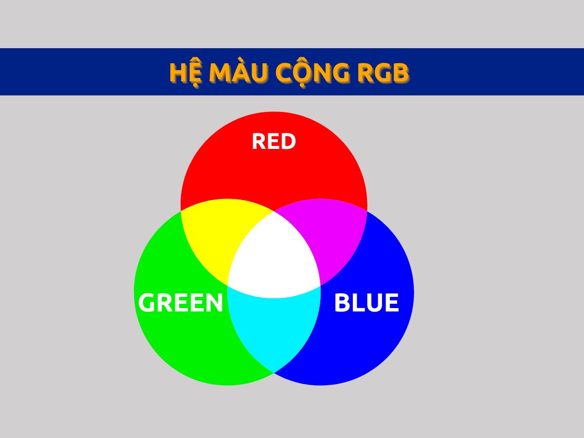 Hệ Màu Cộng RGB Trong Lộ Trình Học Illustrator