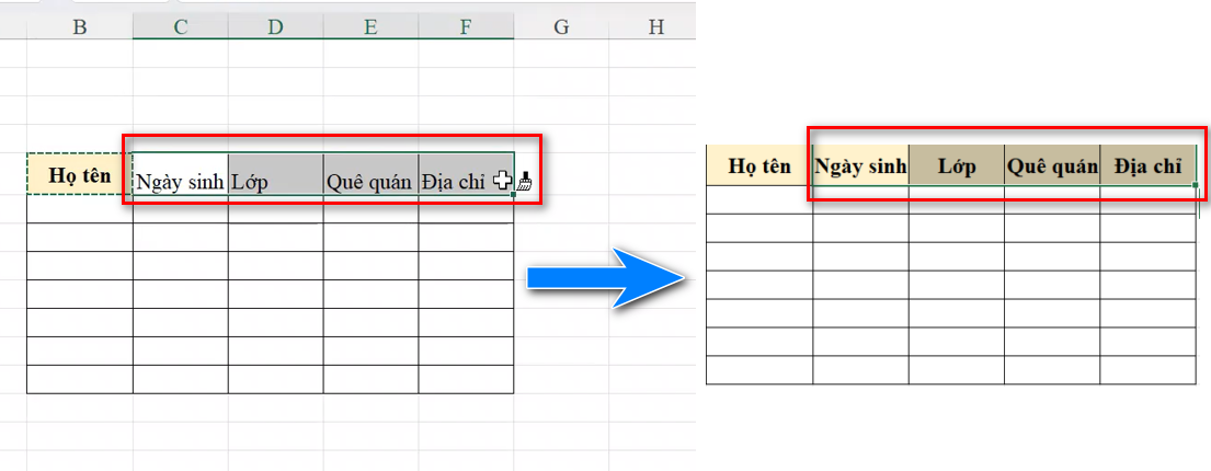 Buoc-2-sao-chep-dinh-dang-nhanh