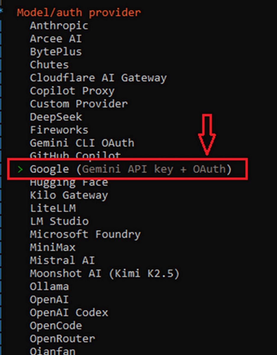 Cài đặt OpenClaw - Cấu hình OpenClaw ban đầu