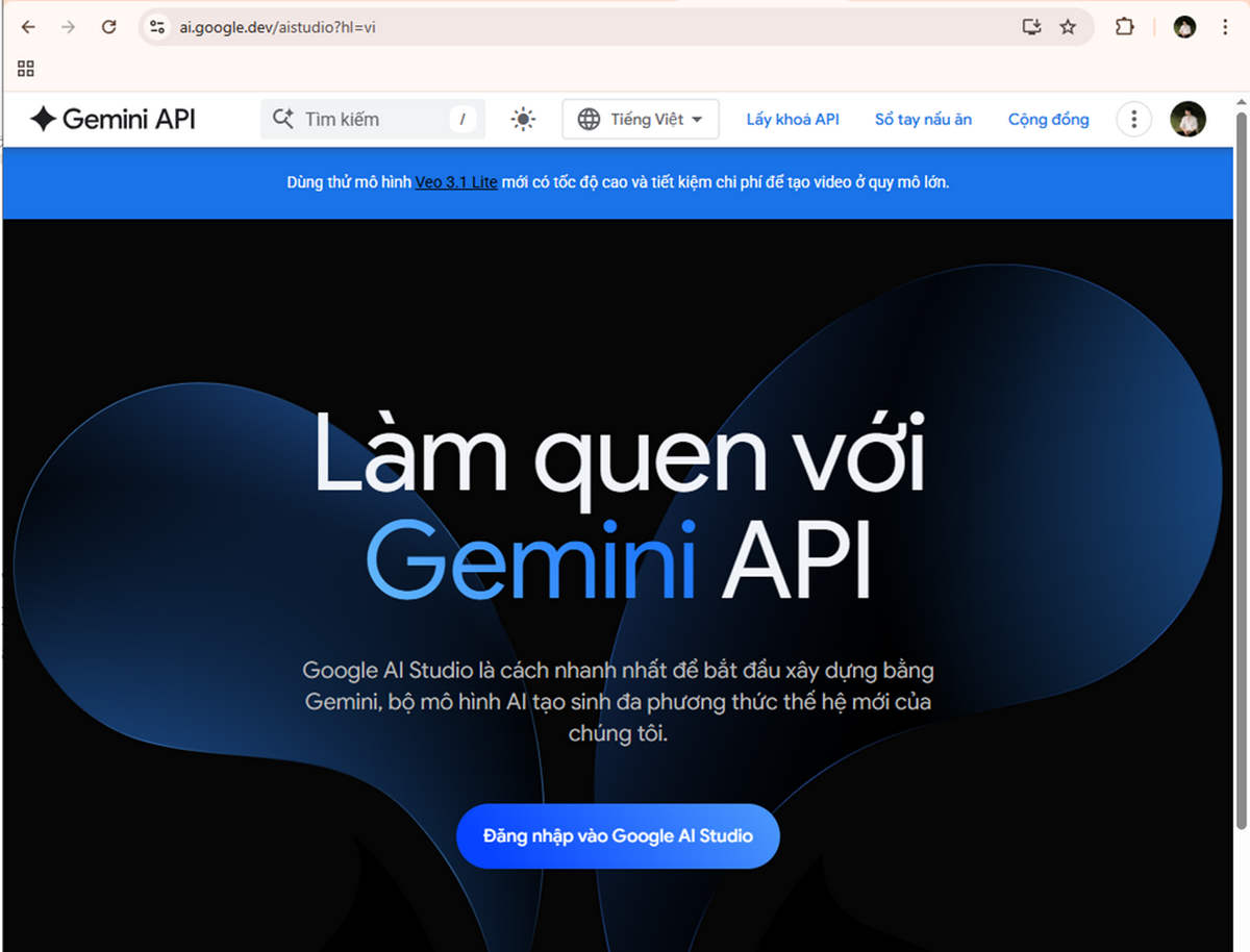 Lấy Gemini API key